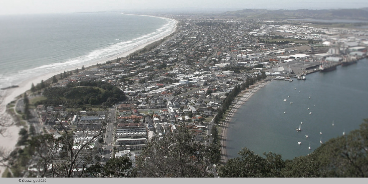 Tauranga