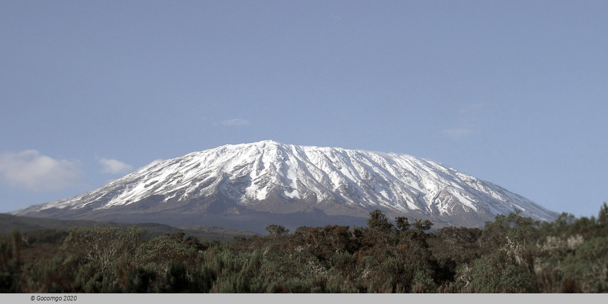 Kilimanjaro