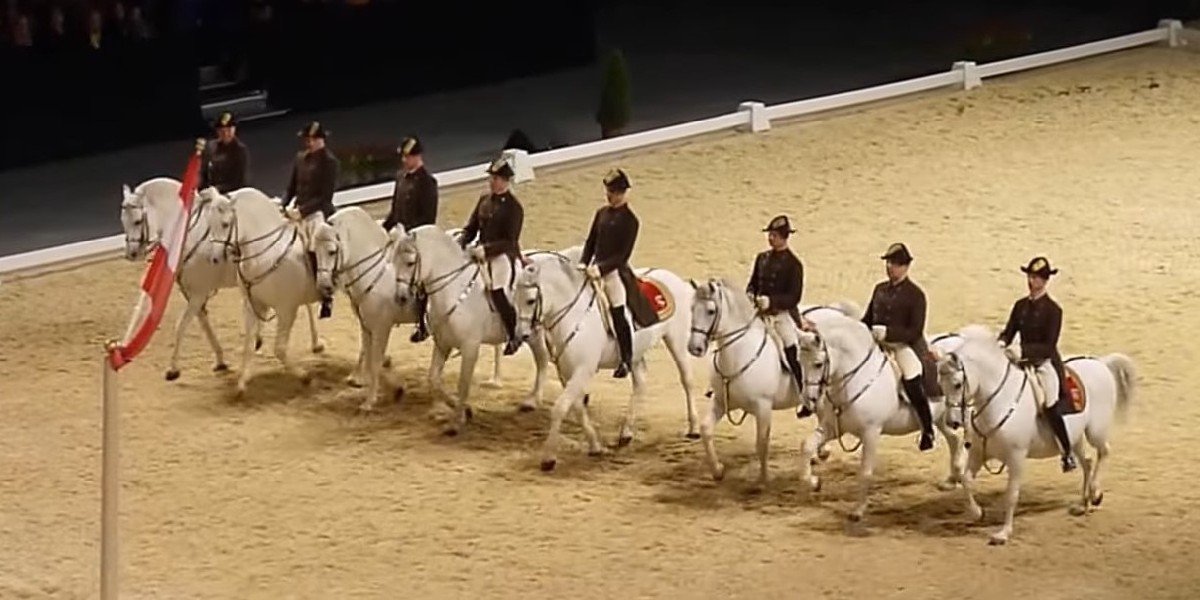 Ticket to the Vienna Spanish Riding School Training, photo 3