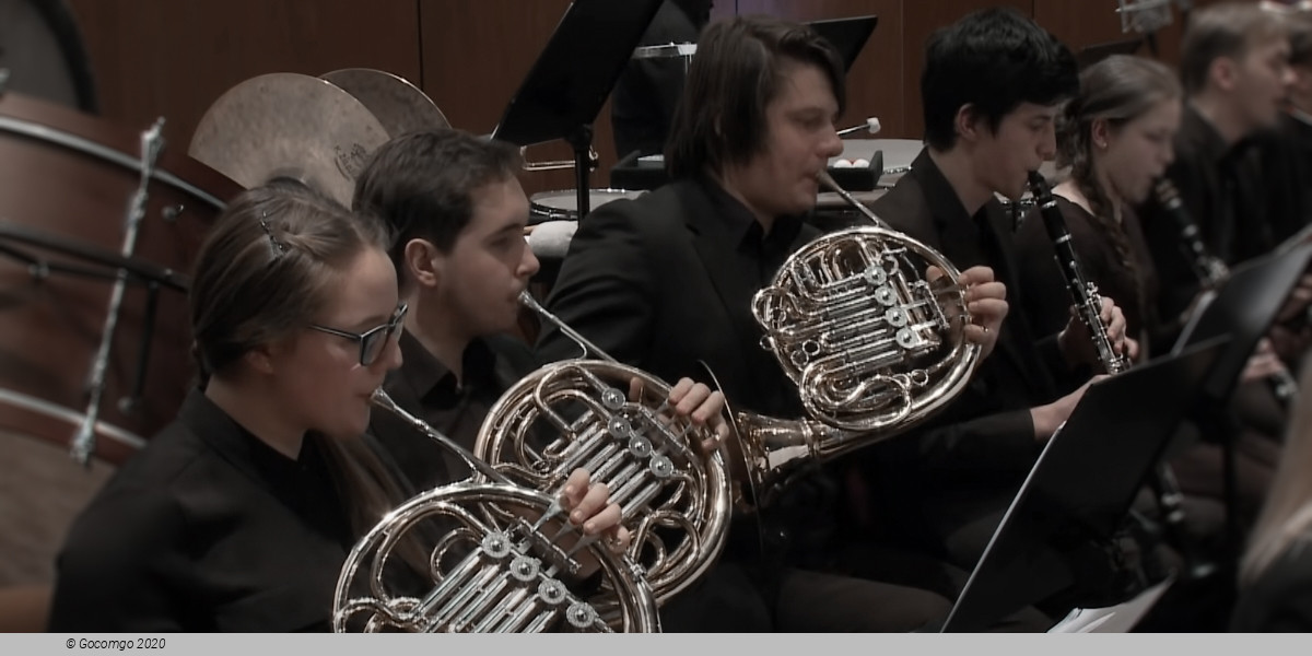 Tchaikovsky's Swan Lake, Liza Ferschtman plays Stravinsky's Violin Concerto, photo 1
