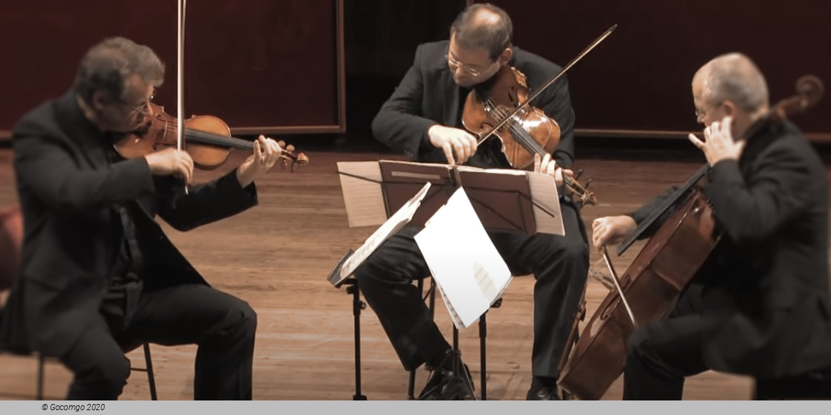 Variation: 1. Kammerabend, photo 1