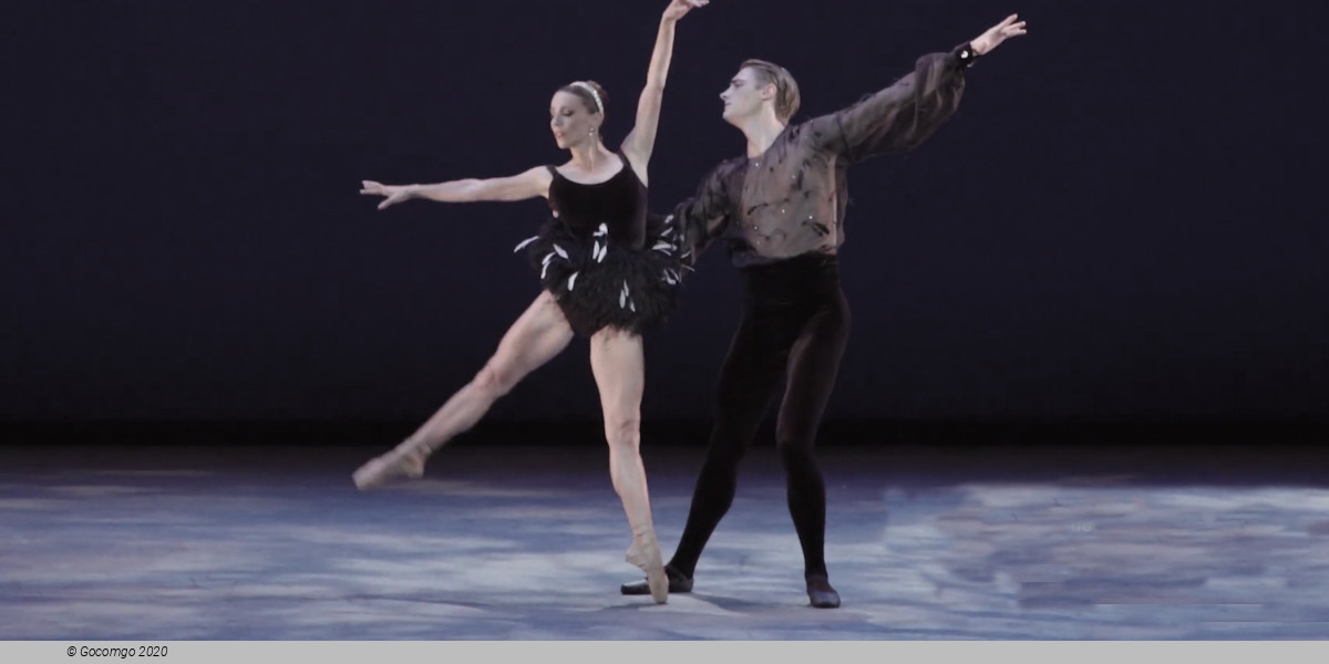 Winter Mix at The Parker "Across the River of Light", photo 6