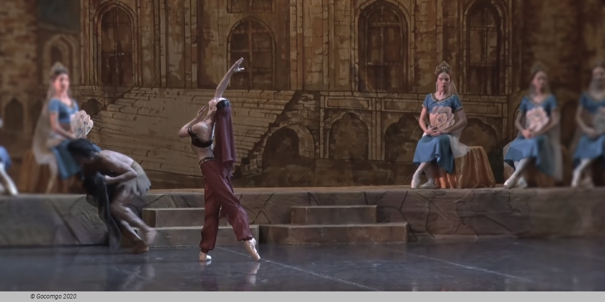 Summer Ballet Seasons, photo 2