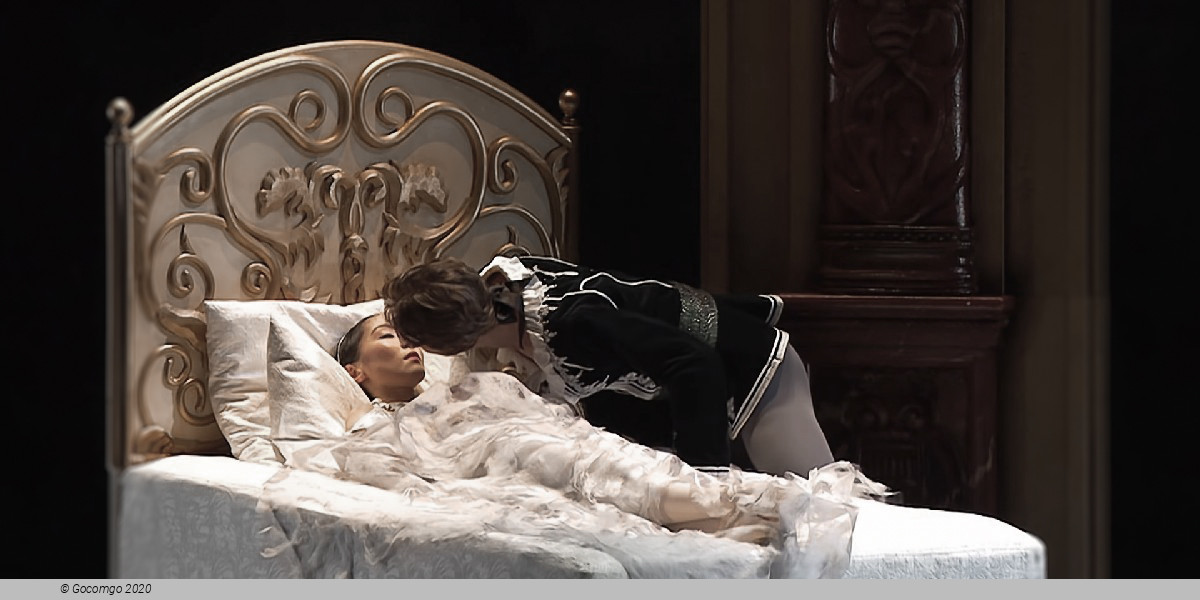 Scene 1 from "The Sleeping Beauty" choreographed by Wayne Eagling (after Marius Petipa), photo 9