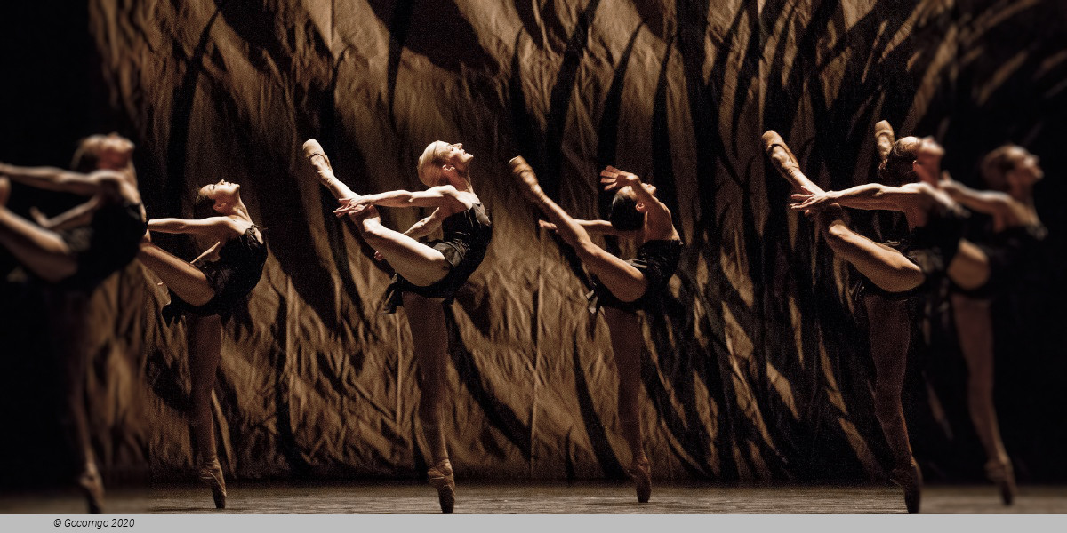 Four Seasons Centre for the Performing Arts schedule & tickets Four Seasons Centre for the Performing Arts schedule & tickets