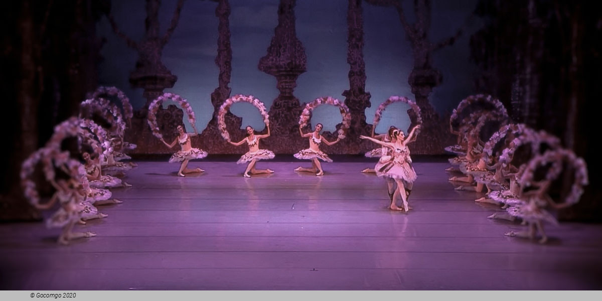 National Opera and Ballet of Bulgaria schedule & tickets National Opera and Ballet of Bulgaria schedule & tickets