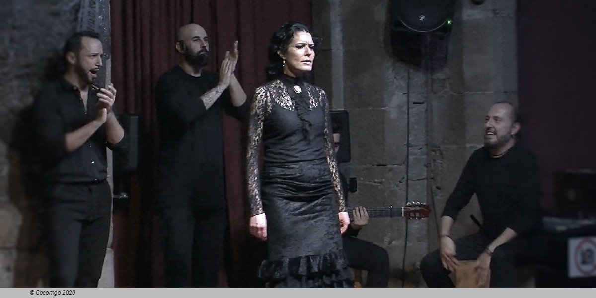 Dalmases Palace schedule & tickets Dalmases Palace schedule & tickets