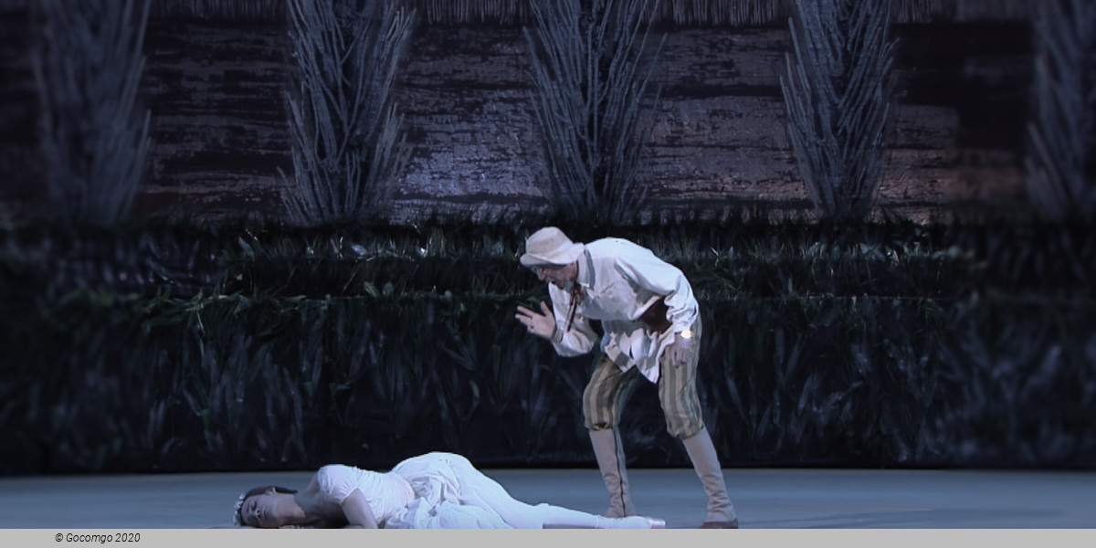 The Bright Stream, photo 2