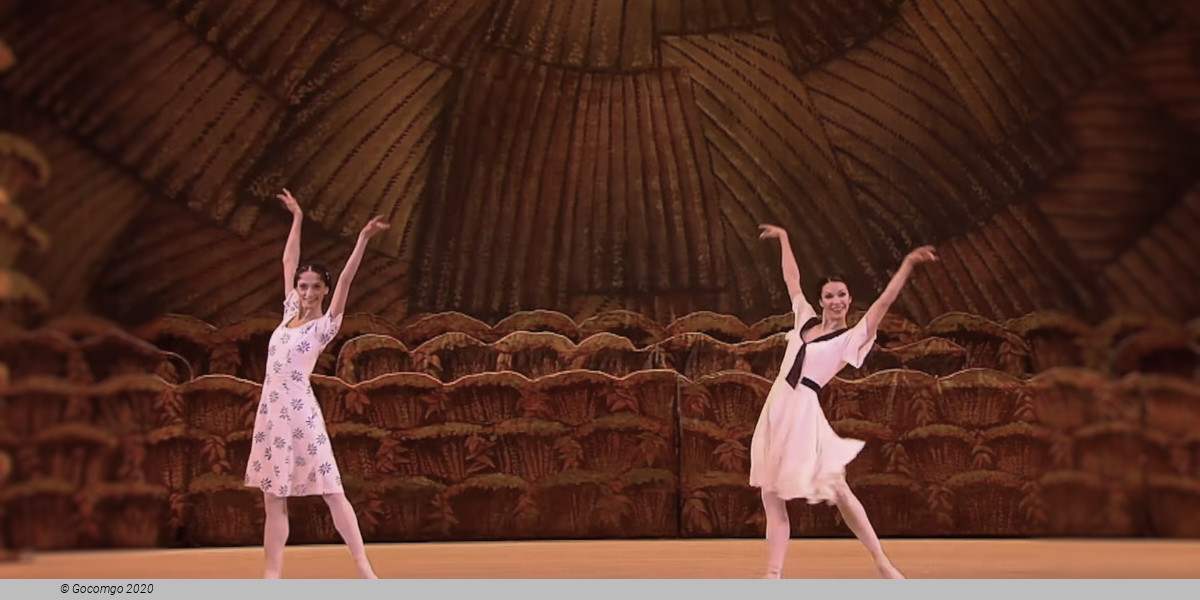 The Bright Stream, photo 3