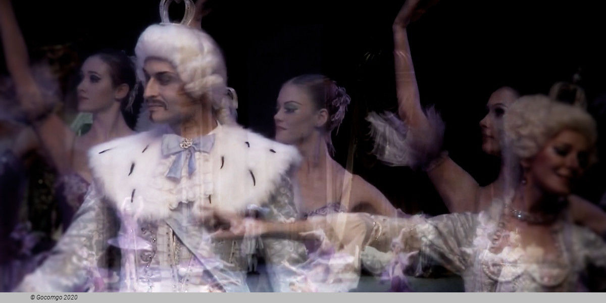 The Sleeping Beauty, photo 5