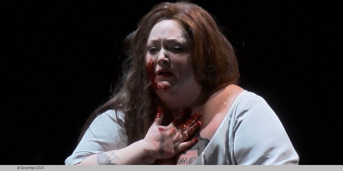 Götterdämmerung (The Twilight of the Gods), photo 2