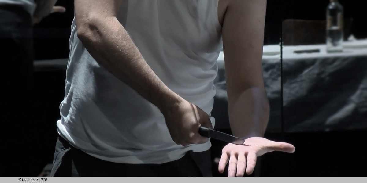 Götterdämmerung (The Twilight of the Gods), photo 5