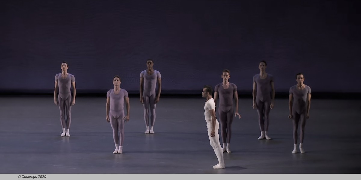 Opus 19 / The Dreamer, photo 4