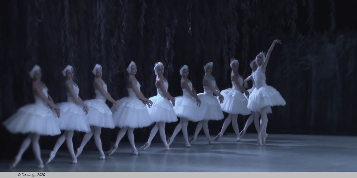 Swan Lake, photo 1