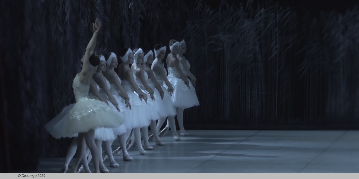 Swan Lake, photo 7