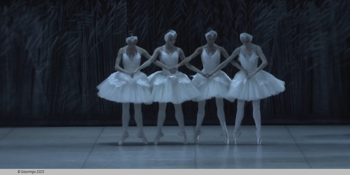 Swan Lake, photo 8