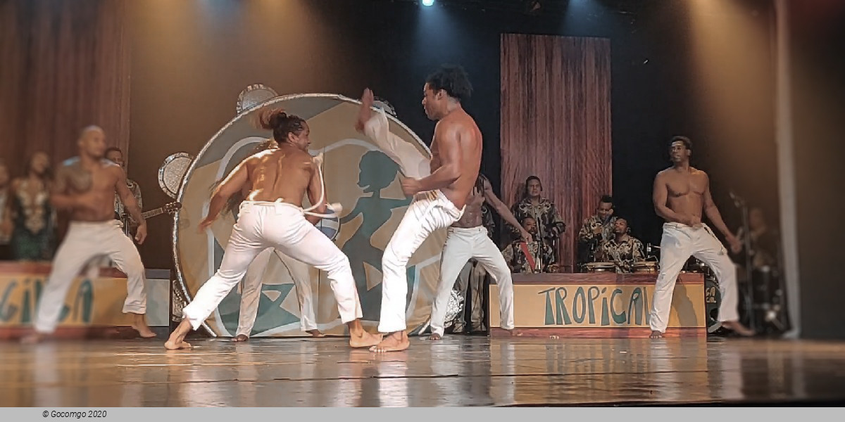 Scene 4 from the show "Ginga Tropical"