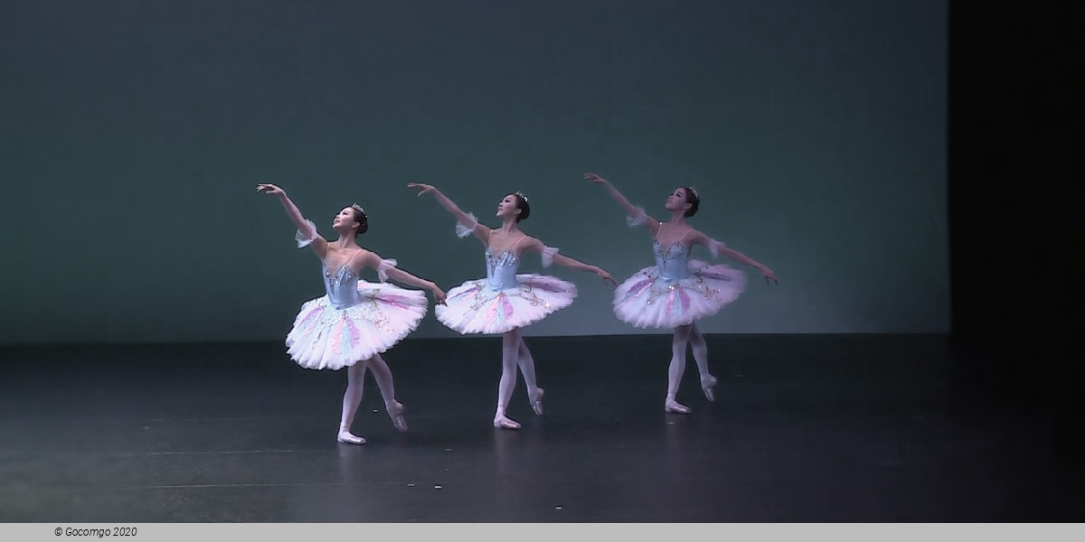Aaron S. Watkin (after Marius Petipa) "Odalisques" pas de trois from "Le Corsaire", photo 1