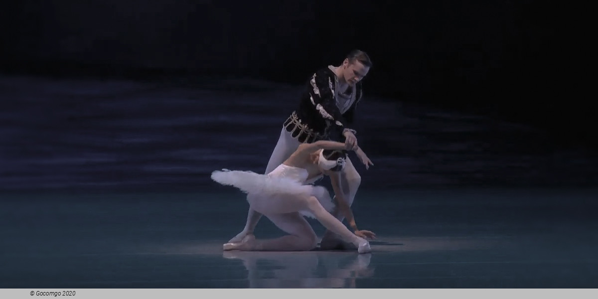 Aaron S. Watkin  "White Swan" pas de deux from "Swan Lake", photo 2