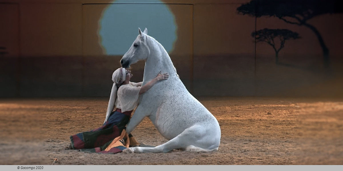 Scene 2 from the show "Cavalluna", photo 1