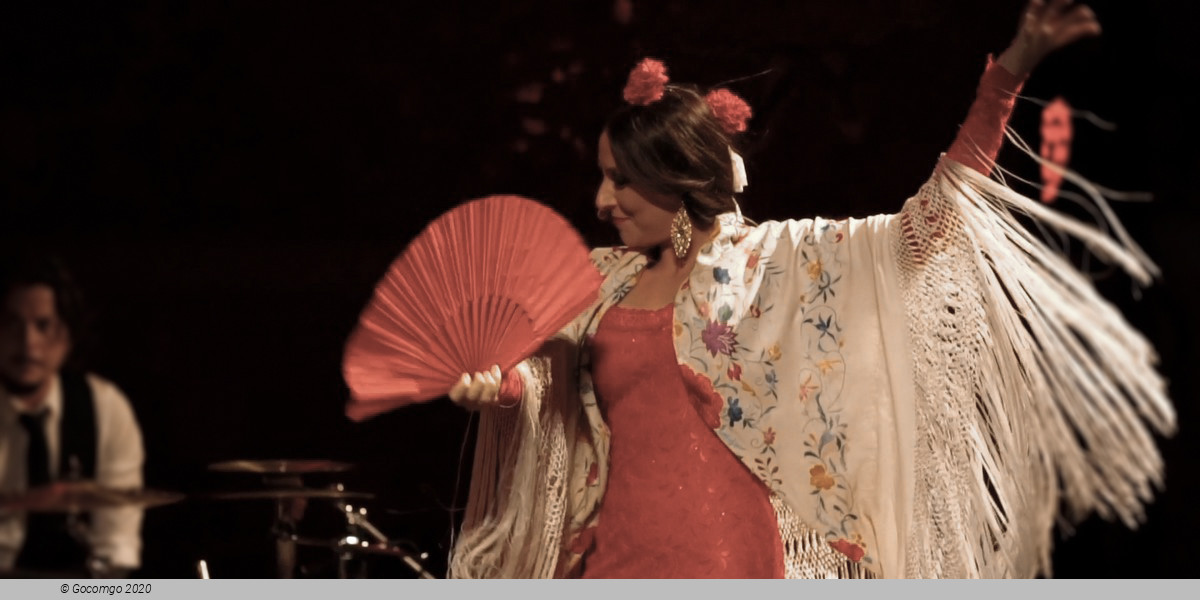 Flamenco show, photo 1