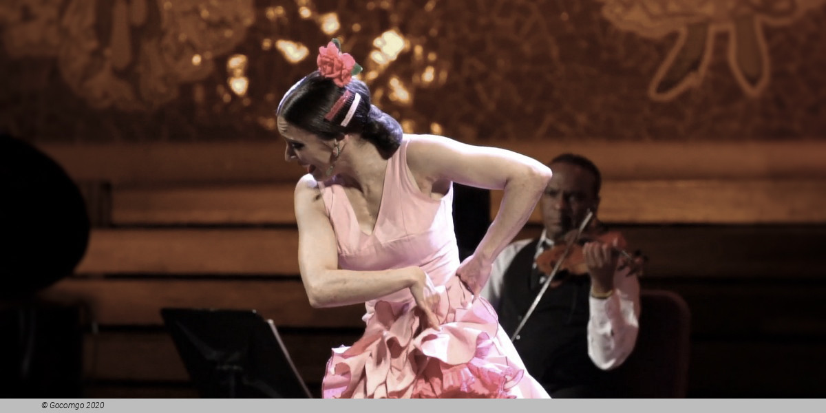 Flamenco show, photo 1