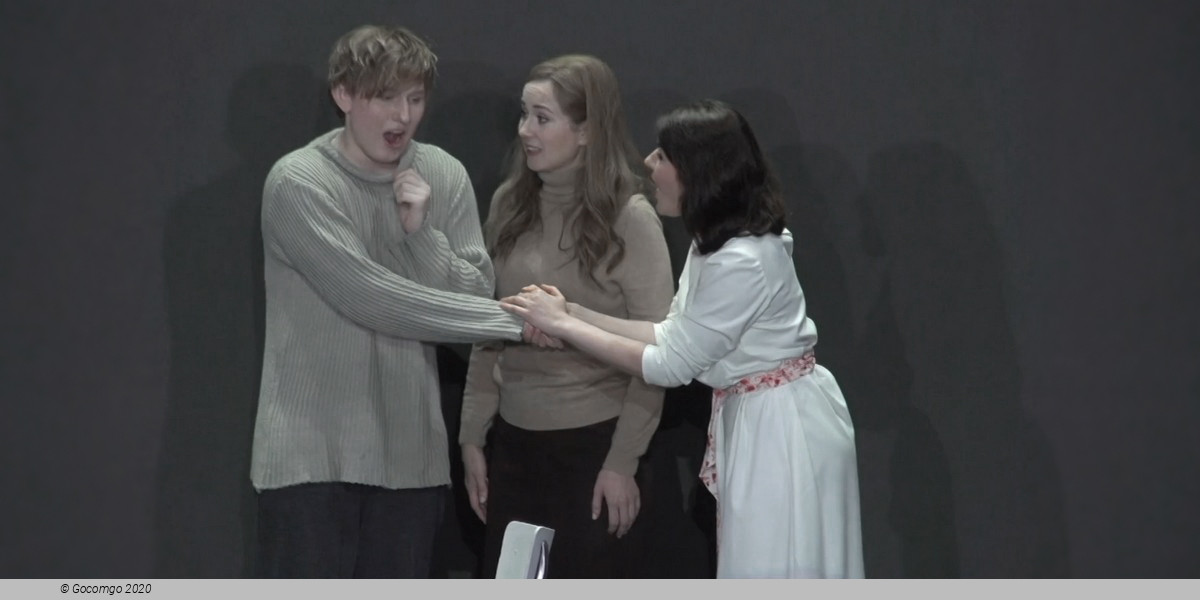 Scene 5 from the opera "The Tale of Tsar Saltan", photo 6