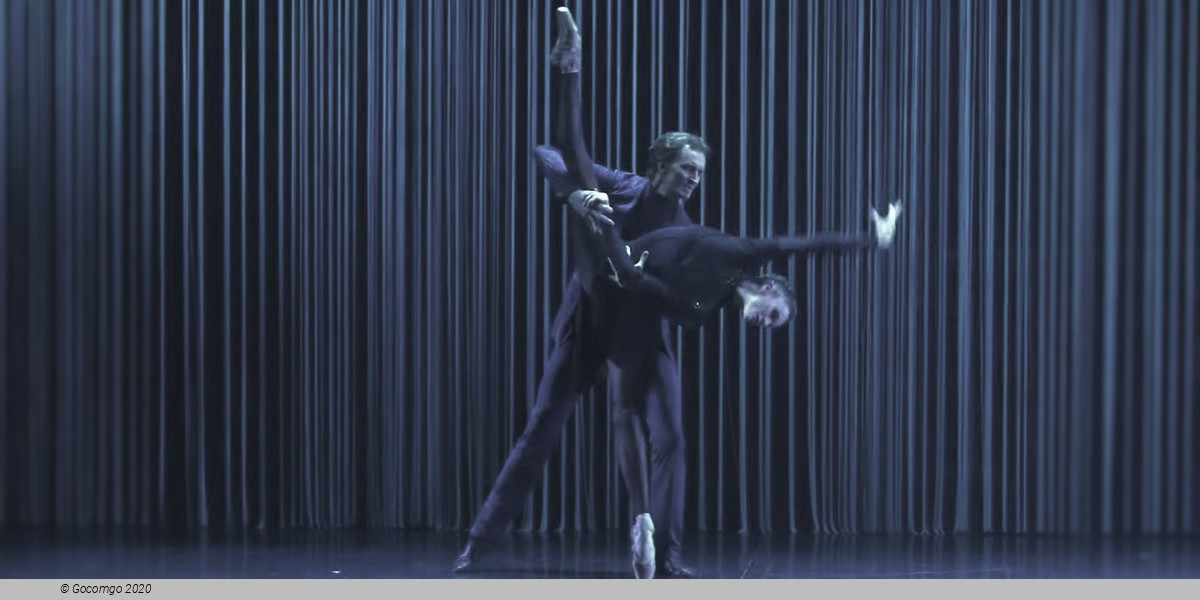 The Seagull. A Ballet Story