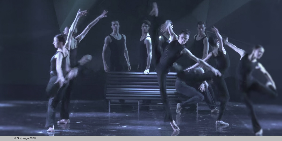 The Seagull. A Ballet Story