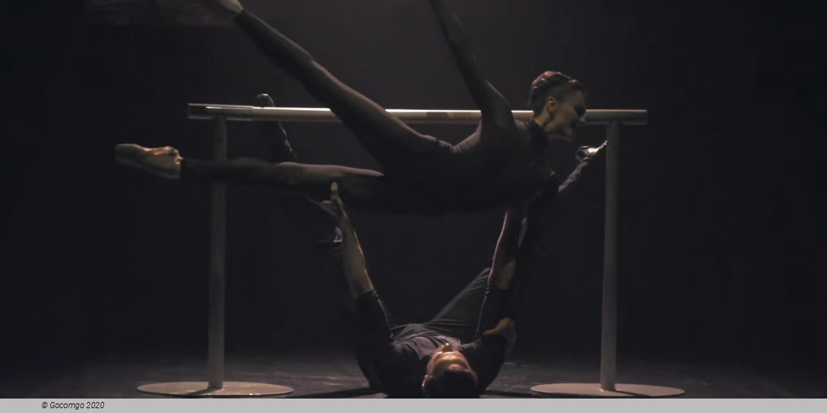 The Seagull. A Ballet Story