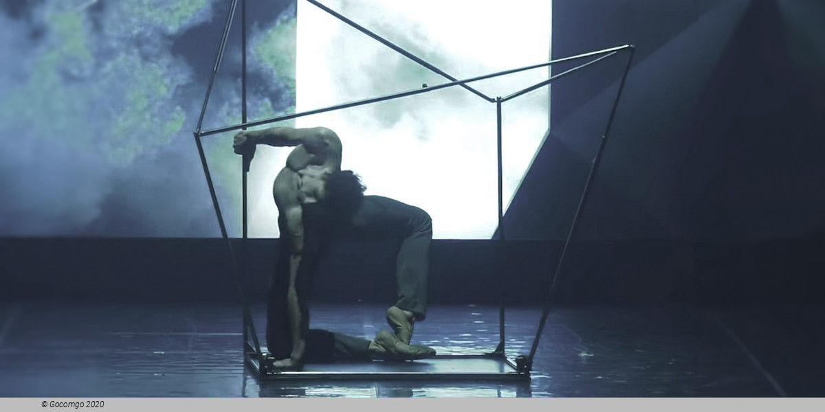 The Seagull. A Ballet Story