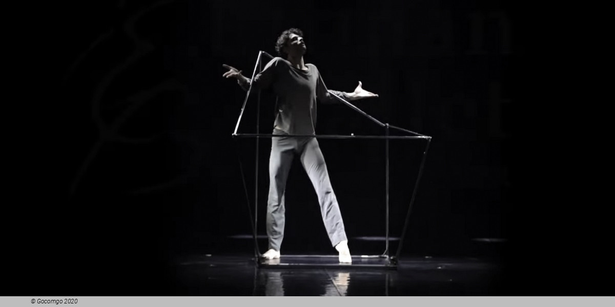 The Seagull. A Ballet Story