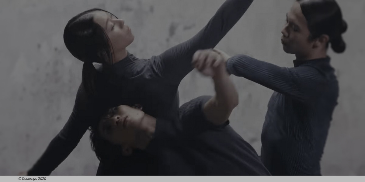 Modern Ballet, photo 1