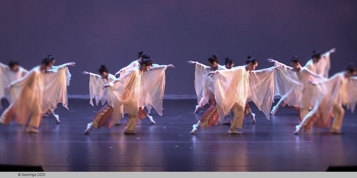 The Butterfly Lovers, photo 1