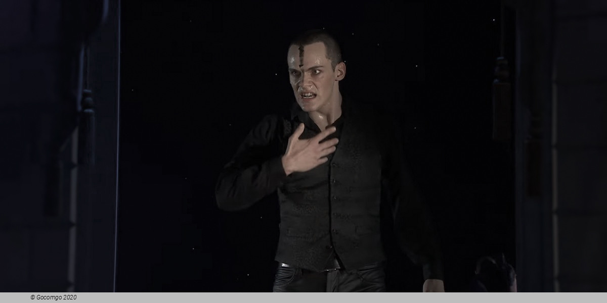 Matthew Bourne's "Swan Lake": The Next Generation, photo 8