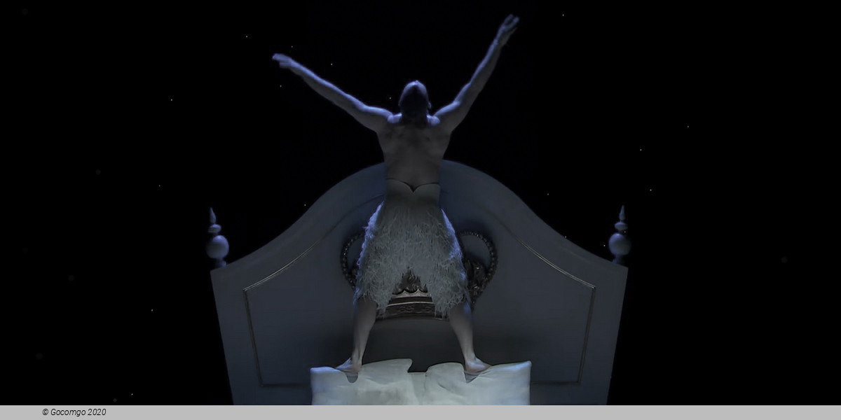 Matthew Bourne's "Swan Lake": The Next Generation, photo 11