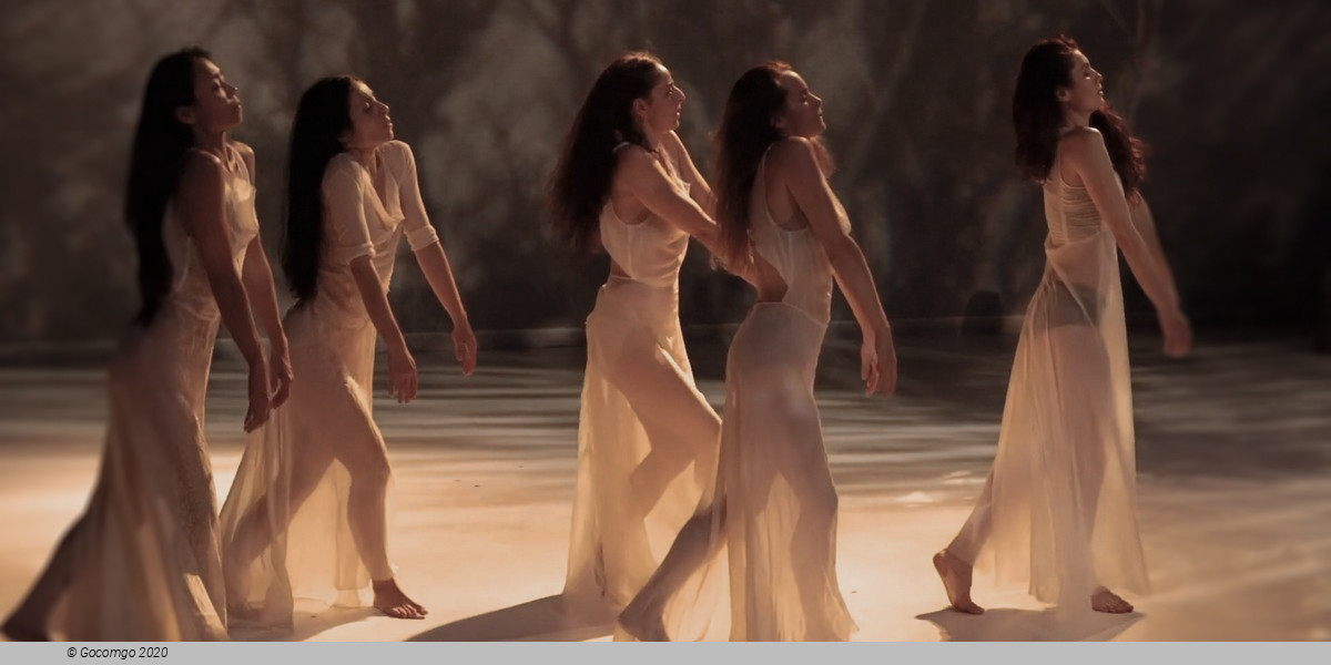 Carolyn Carlson Company: The Tree (fragments of poetics on fire)