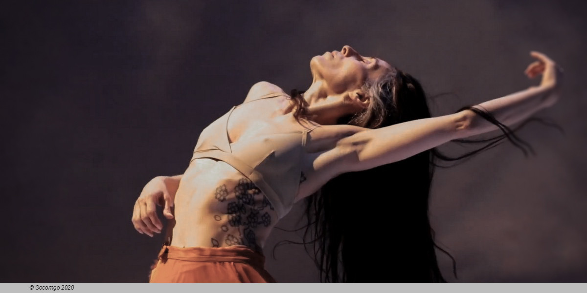 Carolyn Carlson Company: The Tree (fragments of poetics on fire)