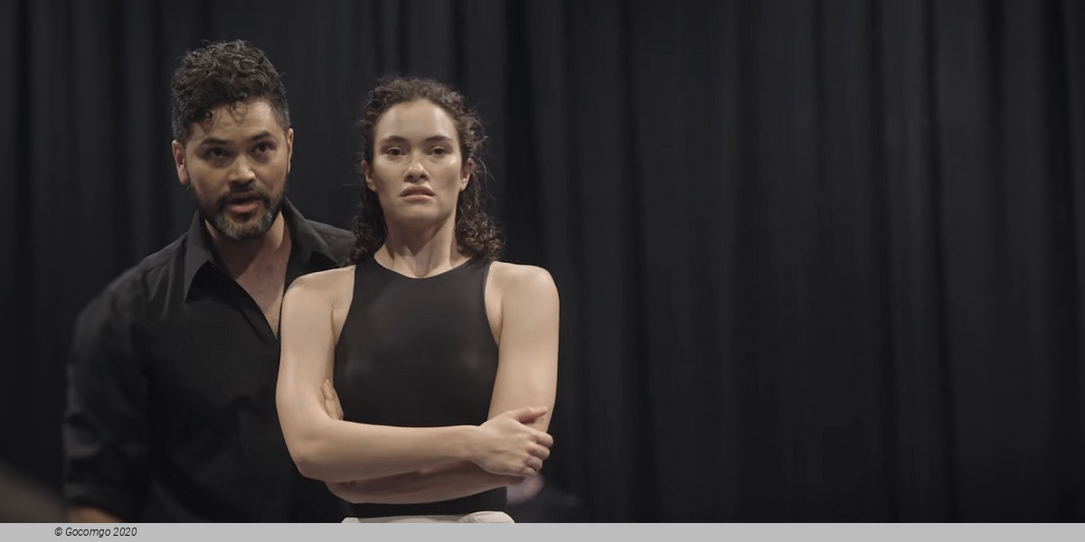 The Drover’s Wife, photo 4