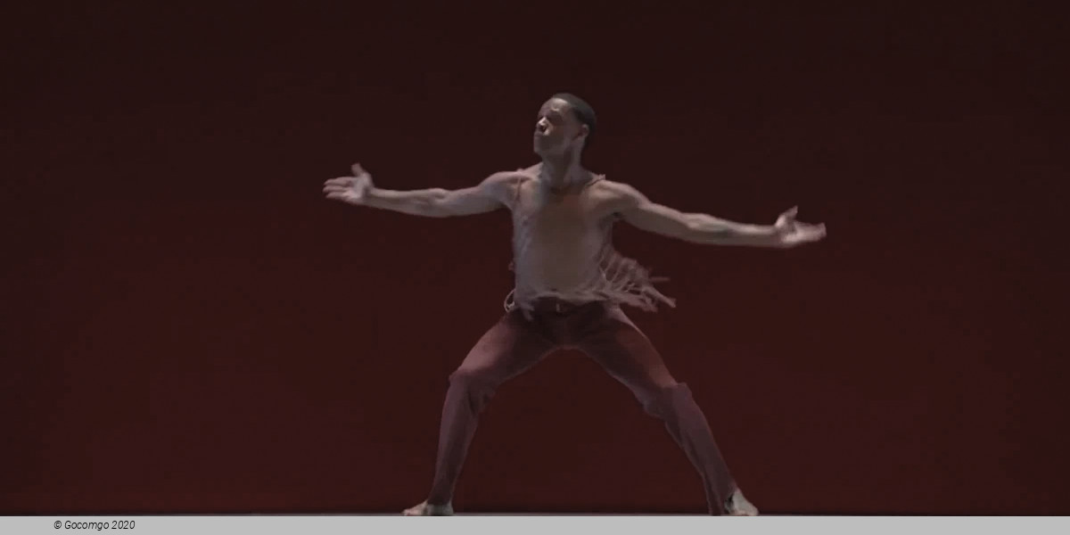 Revelations, photo 11