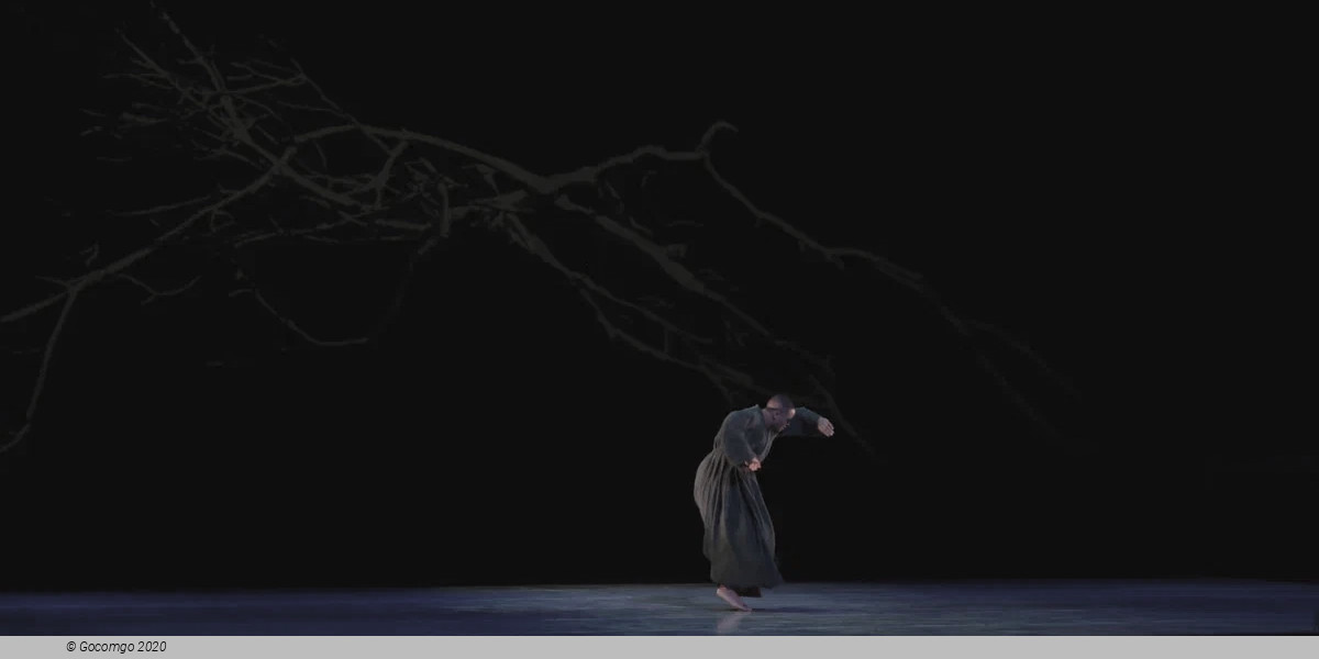 Song of the Anchorite, photo 9