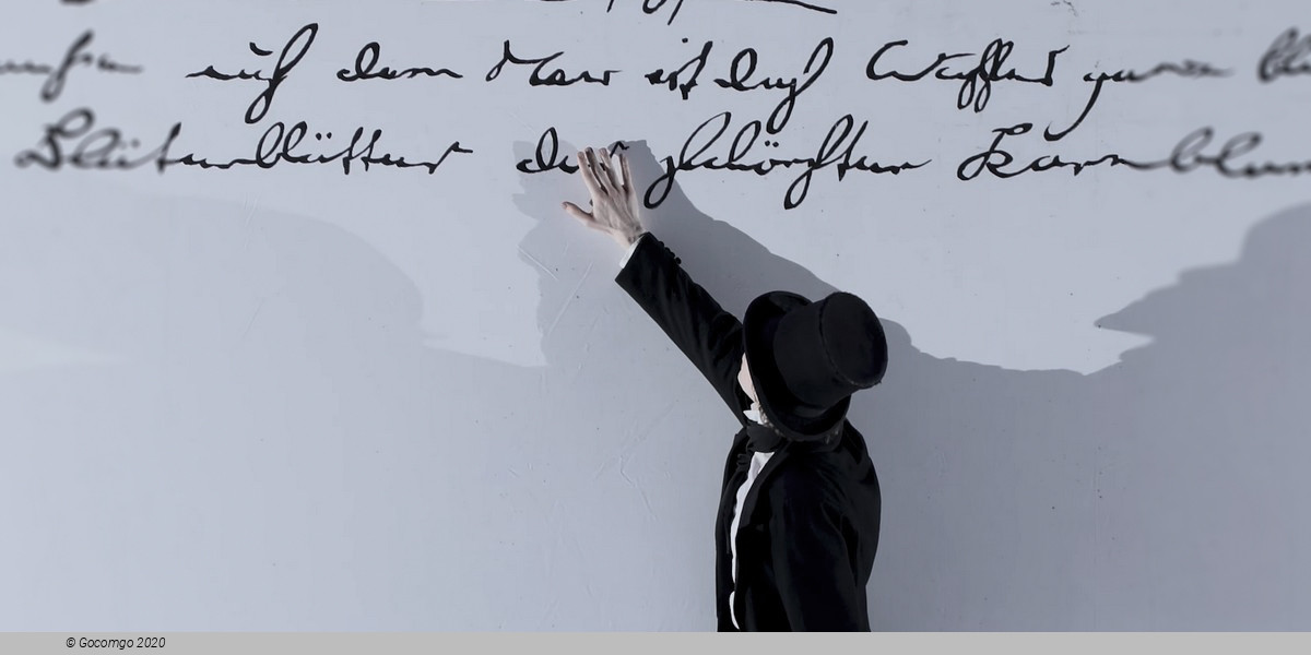 Hamburg Ballet - The Little Mermaid, photo 2