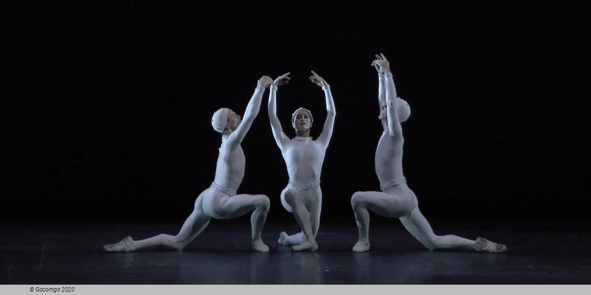 Different Grounds, photo 2