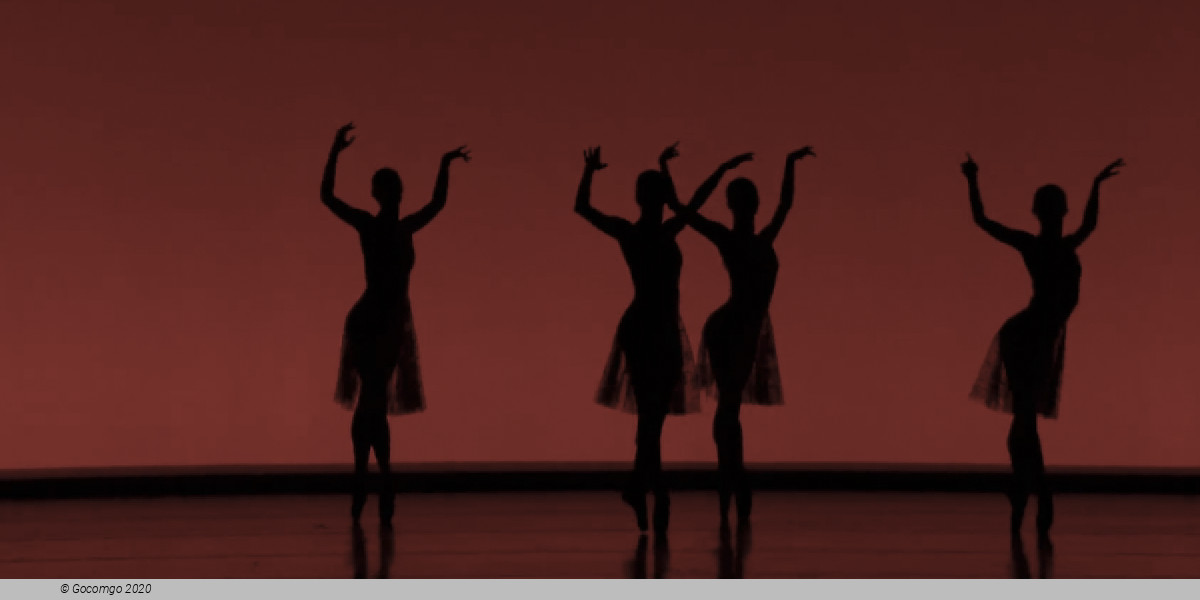 Different Grounds, photo 1