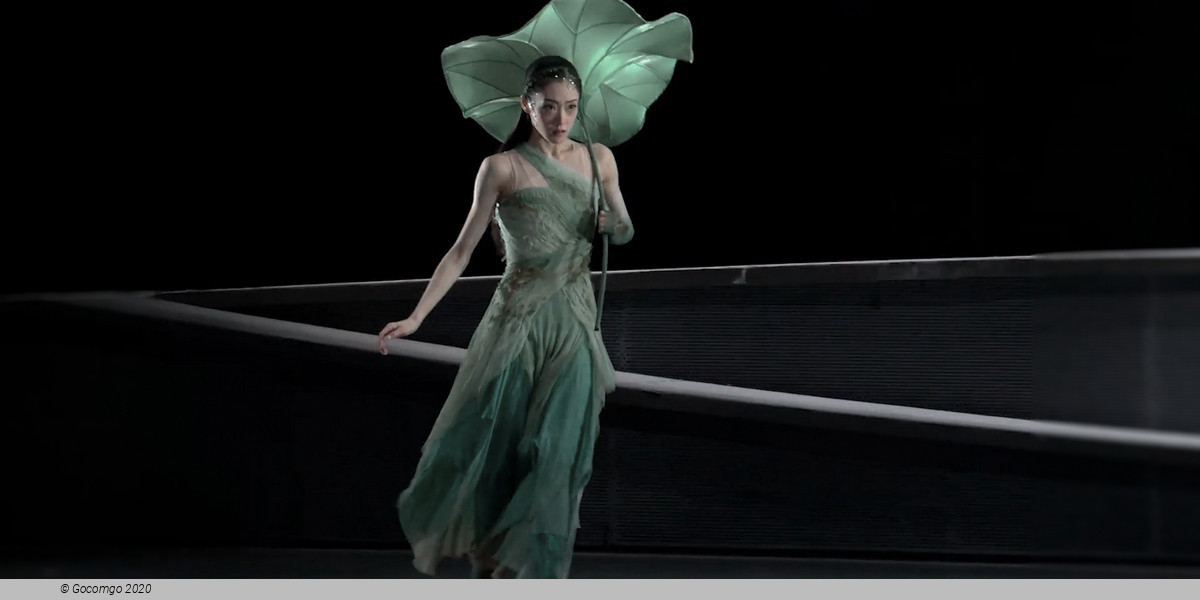 Pas de Deux from Lady White Snake, photo 15