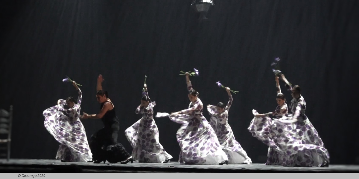 Sara Baras Flamenco Ballet Company Gala Vuela