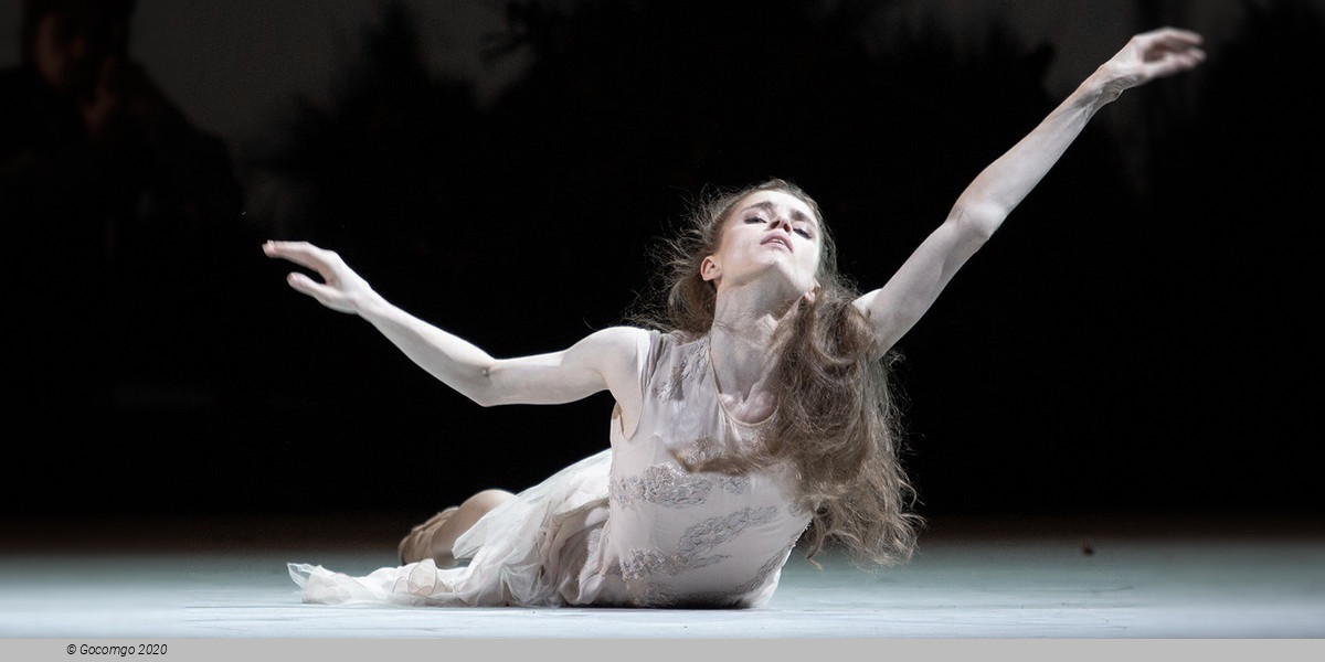 Scene 4 from the ballet "The Seagull"