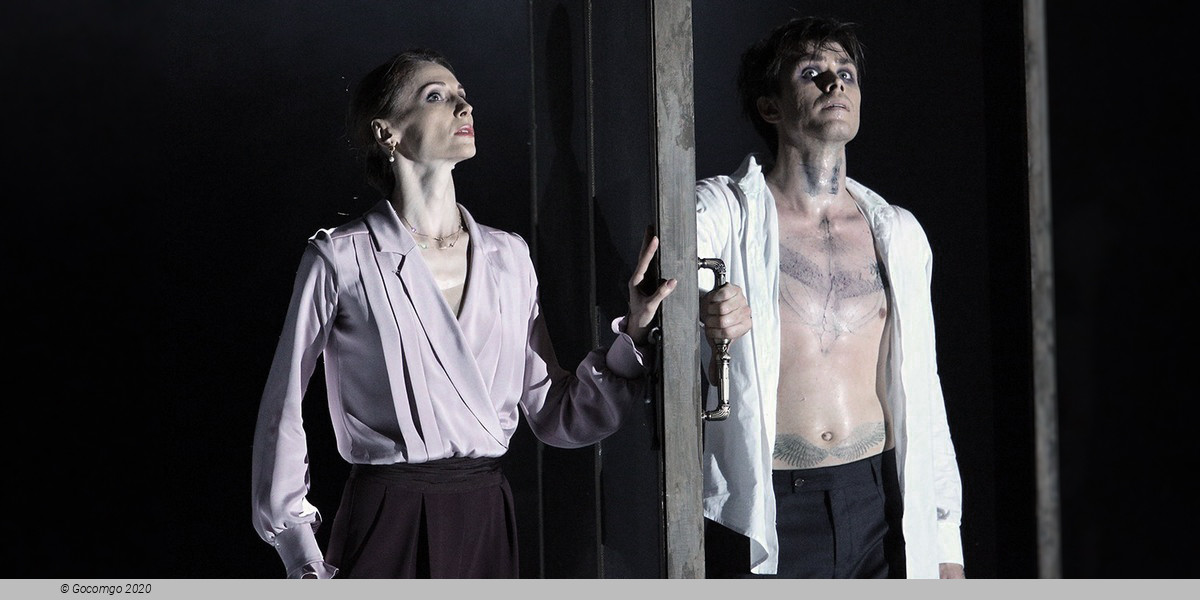 Scene 6 from the ballet "The Seagull"