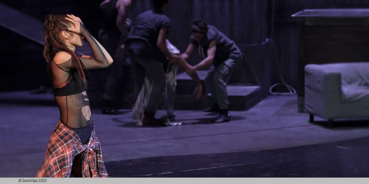 The Miracuolus Mandarin