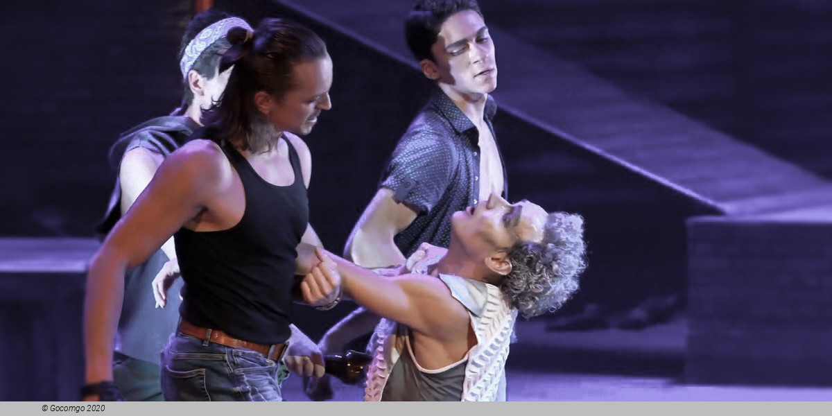 The Miracuolus Mandarin